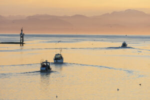 Sport fishing boats head out at dawn for a day on the water, heading out of Hardy Bay.