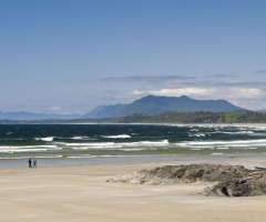 McCulloch_090526_7757