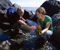 Destination BC - Tom Ryan - East Sooke Regional Park - Tidal Pools.jpg