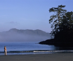 DestinationBC-Adrian Dorst-Chesterman Beach.jpg