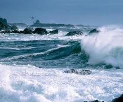 Open seas and rugged coasts, credit Destination BC/Marilyn McEwen