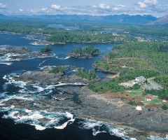DestinationBC-Ucluelet.jpg