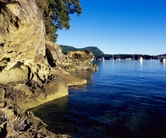 Meet sailors from around the world, credit Destination BC/Adrian Dorst