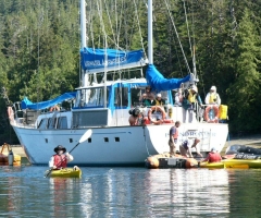 Island Roamer  Kayaking.jpg