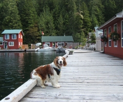 Sullivan Bay Marina - Peva waiting for Jill and Ray.jpg