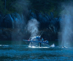 Rods up, boys, credit Tourism Prince Rupert