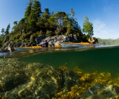 Tourism Tofino-Jeremy Koreski-2.jpg