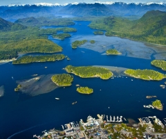 Tofino