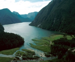 fiordland_0343-00HQLD0008.jpg