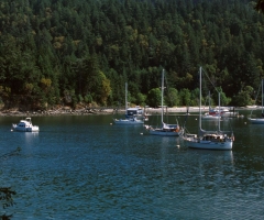 montague_0104-00SVRC0001.jpg