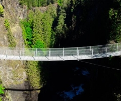 Elk Falls Suspension Bridge