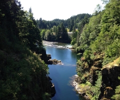 View from Elk Falls Bridge - credit Dennis Peeman