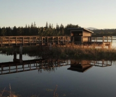 Viewing Platform at Dick Murphy Park - credit Kent Allen