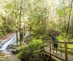 -Cliff-Gilker-Park-in-Roberts-Creek-Sunshine-Coast-Tourism-Chris-Thorn-Photography