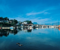 Gibsons Harbour
