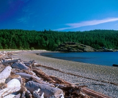 Halfmoon Bay - Sargeant Bay