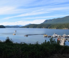Powell River Okeover Arm from Laughing Oyster