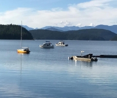 Powell River Okeover Arm