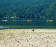 Sechelt Inlet 9 Mile Point
