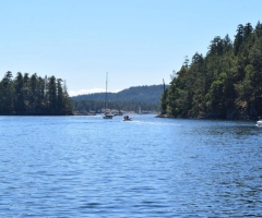 Secret Cove