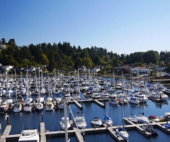 Gibsons Harbour