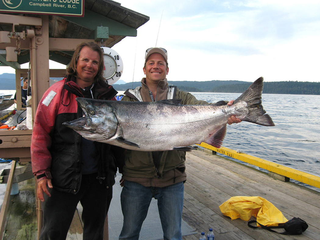 40 lb. Chinook salmon caught at Painter's Lodge, credit Oak Bay Marine Group