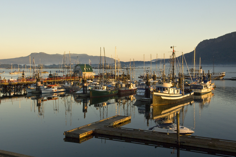 Cowichan Bay harbor , Vancouver Island, British Columbia, Canada