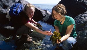 Marine Environmental Stewardship Ethics