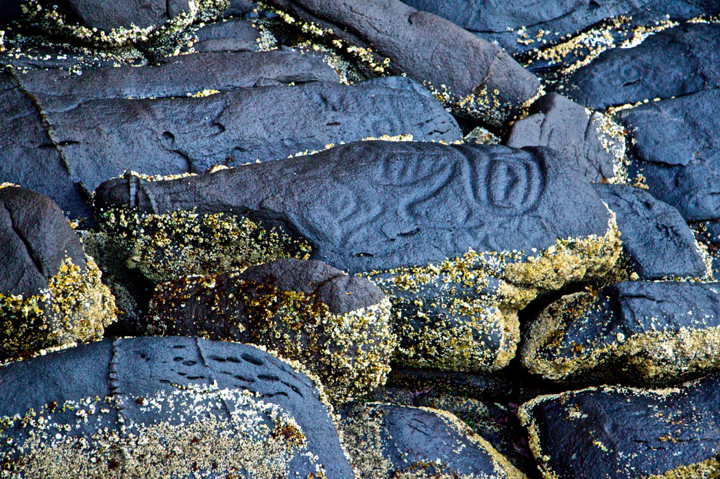 Ancient petroglyphs, Princess Royal Island, credit Spirit Bear Lodge