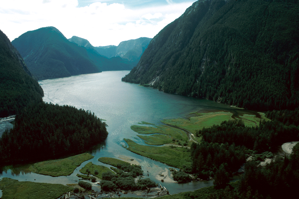 Fjordland Conservancy, credit BC Parks