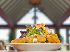 Fine dining at Blind Channel Resort - fancy salad