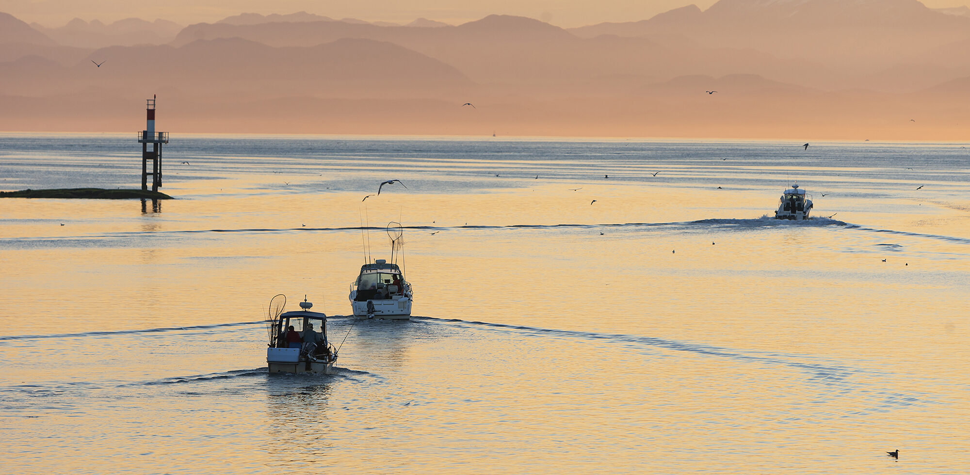 Sport fishing boats head out at dawn, Hardy Bay
