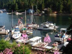 Sunshine Coast Resort, Hotel & Marina - looking down over the marina, fireweed flowers in foreground