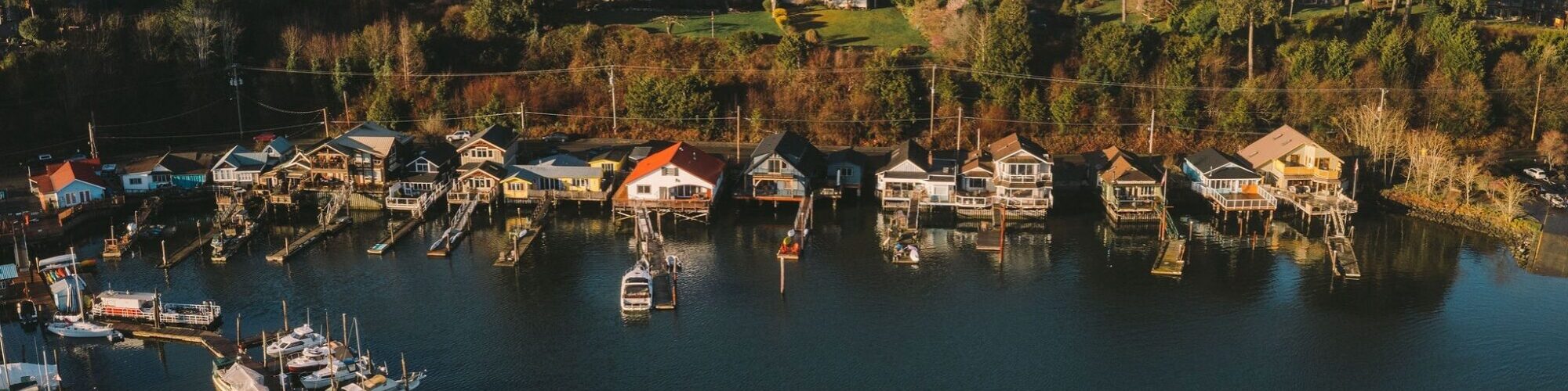 Kira Marshall Cowichan Marina Birds Eye