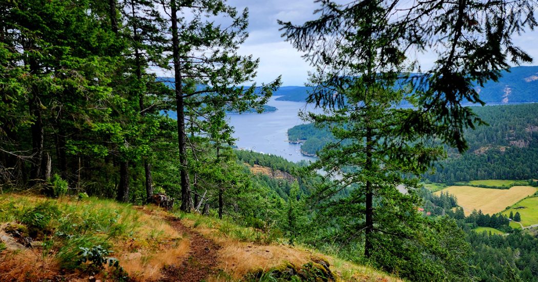 Awesome Trail View on Mt 1200 - Unique Experiences at BC's Resort Marinas