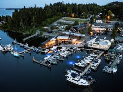 Tofino Resort + Marina - aerial view of resort