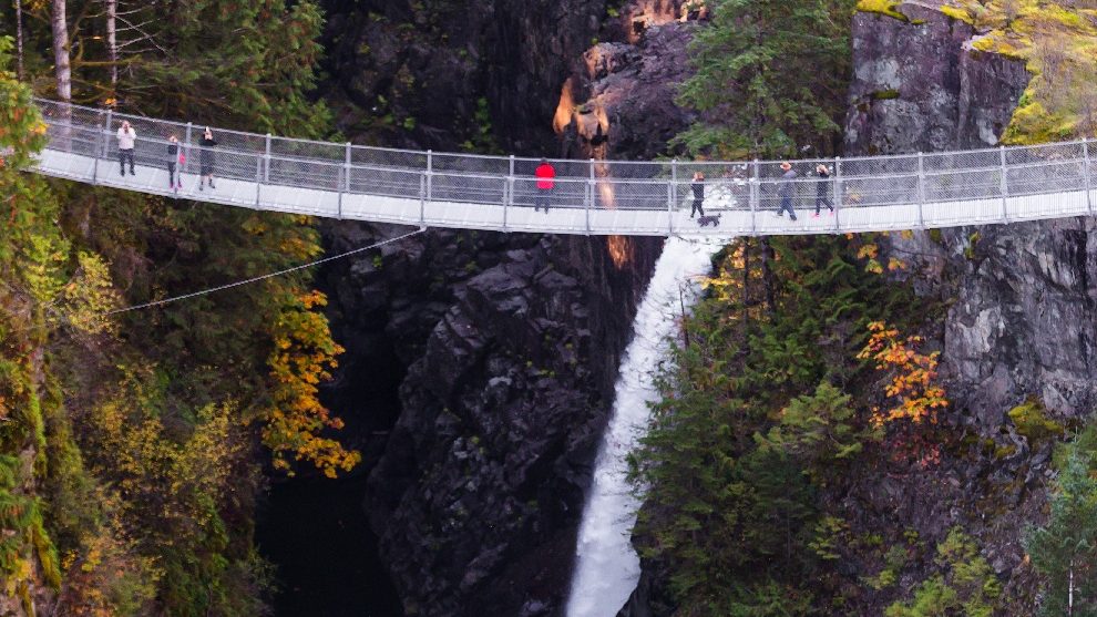 Elk Falls Suspension Bridge