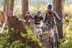 mountain biking vint - Gallery