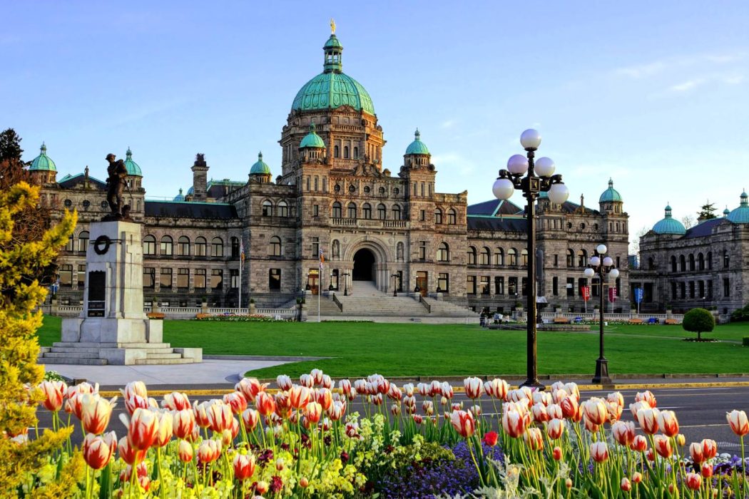 Parliament Buildings, Victoria, BC with red and white tulips in foreground