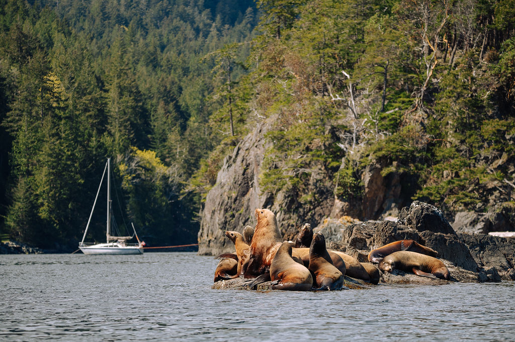 Texada Island